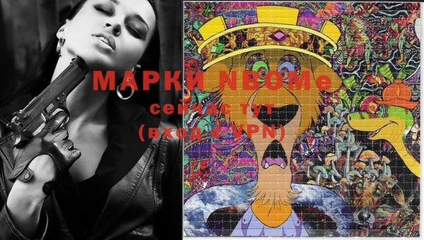 дурь Пролетарск