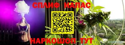 гашик Шахты