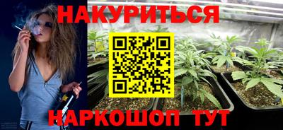 прущие крисы Шелехов