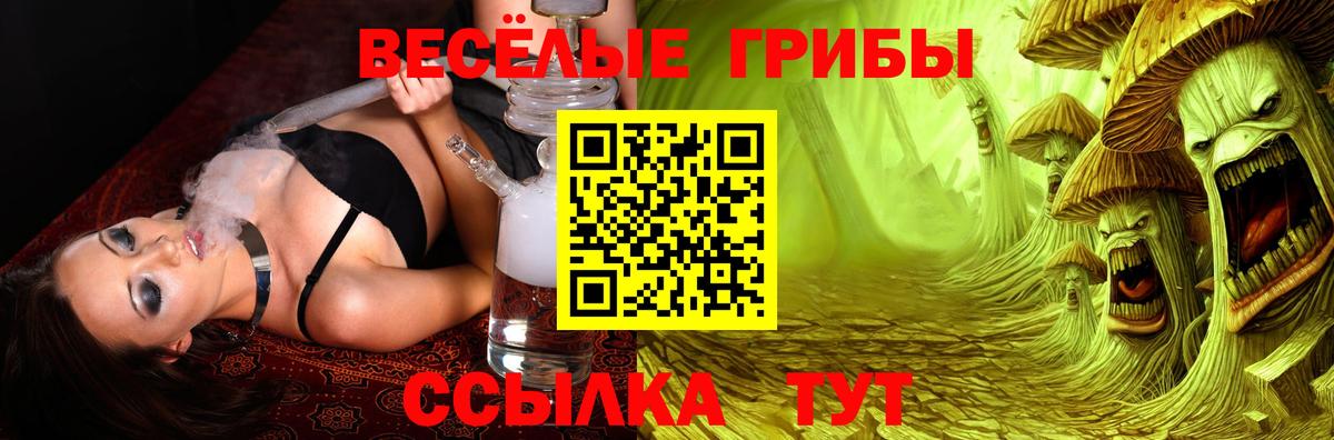 где купить наркотик  Вход с VPN  Псилоцибиновые грибы Magic Shrooms  Александров  Псилоцибиновые грибы ЛСД 
